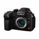 Panasonic GH7 #2