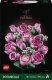 Lego Botanicals Bouquet of Pink Roses #1