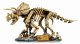 Lego Jurassic World 77985 #3