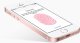 Apple iPhone SE #2