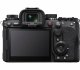 Sony α 1 II #2