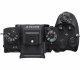 Sony α 1 II #3