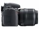 Nikon D3100 + AF-S DX 18-55 VR + AF-S DX 55-200 VR #8