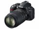 Nikon D3100 + AF-S DX 18-55 VR + AF-S DX 55-200 VR #5