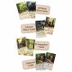 Asmodee Everdell Oversized Cards - Collector's Edition #4