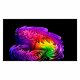 LG OLED evo AI OLED83G64LW #6