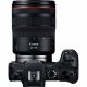 Canon EOS RP Body + RF 24-105mm f/4L IS USM lens + Mount Adapter EF-EOS R #9