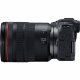 Canon EOS RP Body + RF 24-105mm f/4L IS USM lens + Mount Adapter EF-EOS R #7