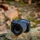 Canon EOS RP Body + RF 24-105mm f/4L IS USM lens + Mount Adapter EF-EOS R #15