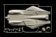 Italeri F - 14 A Tomcat #4