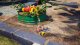 Nintendo Pikmin 4 #7