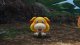 Nintendo Pikmin 4 #21
