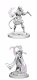 WizKids D&D Nolzur's Marvelous Miniatures: Tiefling Sorcerer