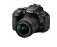 Nikon D5600 + AF-P DX 18-55mm G VR #1