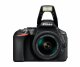 Nikon D5600 + AF-P DX 18-55mm G VR #9