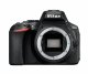 Nikon D5600 + AF-P DX 18-55mm G VR #3