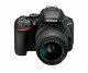 Nikon D5600 + AF-P DX 18-55mm G VR #10
