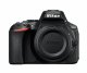 Nikon D5600 + AF-P DX 18-55mm G VR #6
