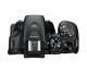 Nikon D5600 + AF-P DX 18-55mm G VR #7