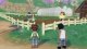 Marvelous STORY OF SEASONS: A Wonderful Life - Limited Edition