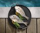 OUTDOORCHEF 18.211.57 #2