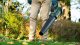 Bosch AdvancedLeafBlower 36V-750 (1x2.0Ah) #7
