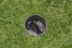 Gardena Pressure regulator #3
