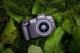 Canon EOS R8 #10