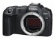 Canon EOS R8 #2
