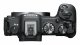 Canon EOS R8 #7