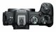 Canon EOS R8 + RF 24-50mm F4.5-6.3 IS STM Kit #2