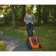 Black & Decker LM2000-QS #4