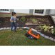 Black & Decker LM2000-QS #3