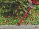 Einhell GC-CH 18/40 Li Solo #5