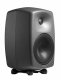 Genelec 8250A #3