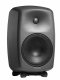 Genelec 8250A #2