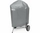 Weber 7176 #2