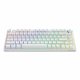 Savio PHENIX WHITE GAT YELLOW #2