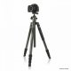 Vanguard VEO 2 264CB #2