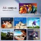 Hisense 43A6N #3