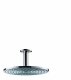 Hansgrohe Raindance S