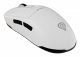 GENESIS Zircon 660 #3