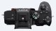 Sony α 7 III + 28-70mm #6
