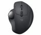 Logitech MX Ergo #2