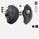 Logitech MX Ergo #12