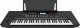 Roland E-X50 #4
