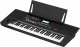 Roland E-X50 #8