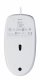 Logitech M100 #9