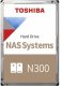 Toshiba N300