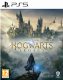 Warner Bros. Games Hogwarts Legacy